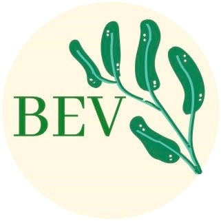 Logo Bundeseltern